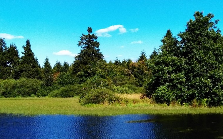 Bild "Touren:tour_grosse-landstromer_bild1.jpg"