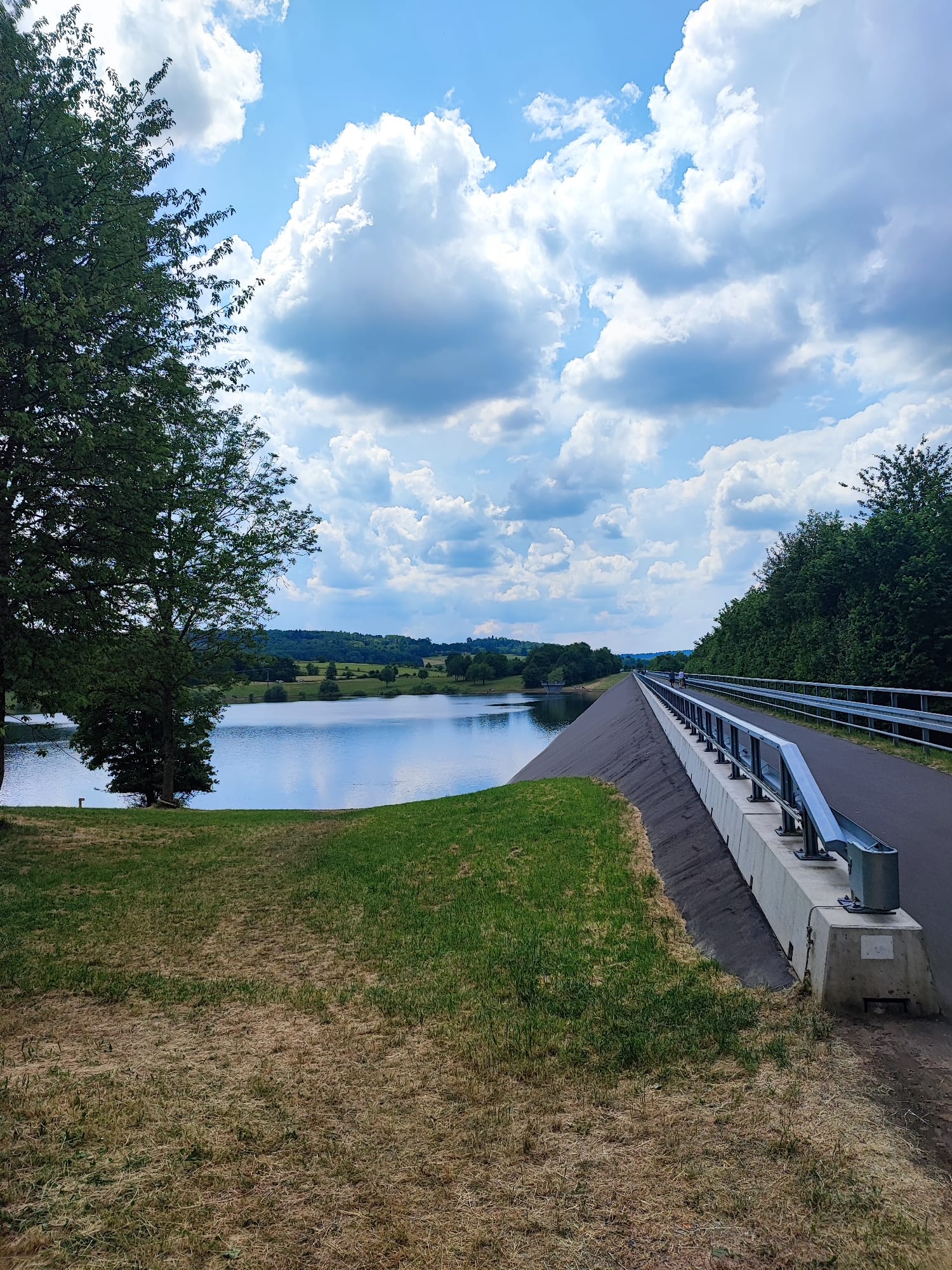 Bild "Touren:tour_mammutbaum_bild4.jpg"