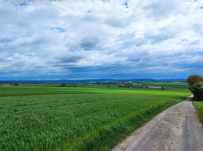 Bild "Touren:tour_panorama_bild1.jpg"