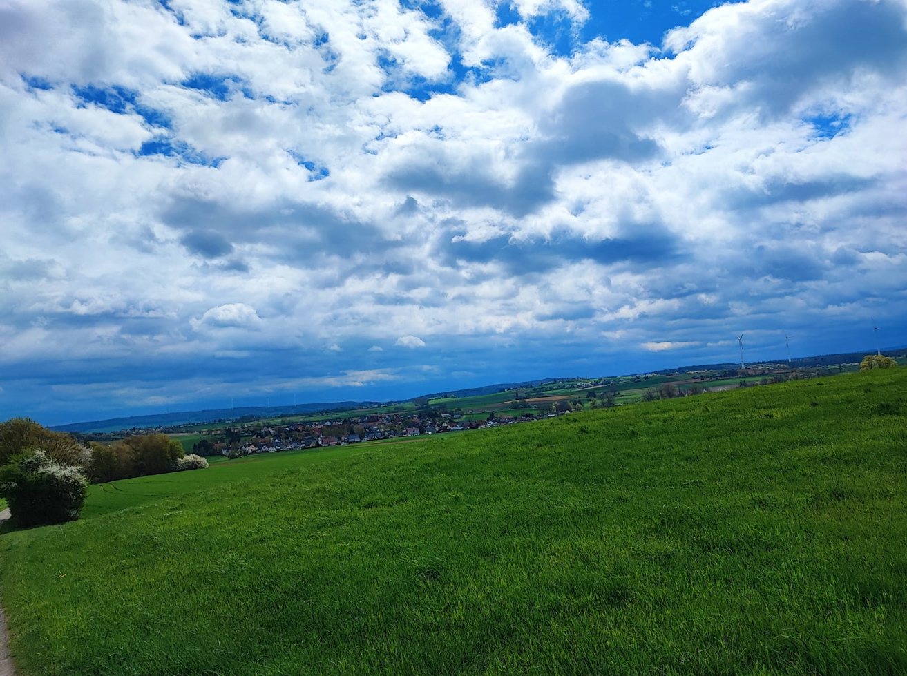 Bild "Touren:tour_panorama_bild4.jpg"