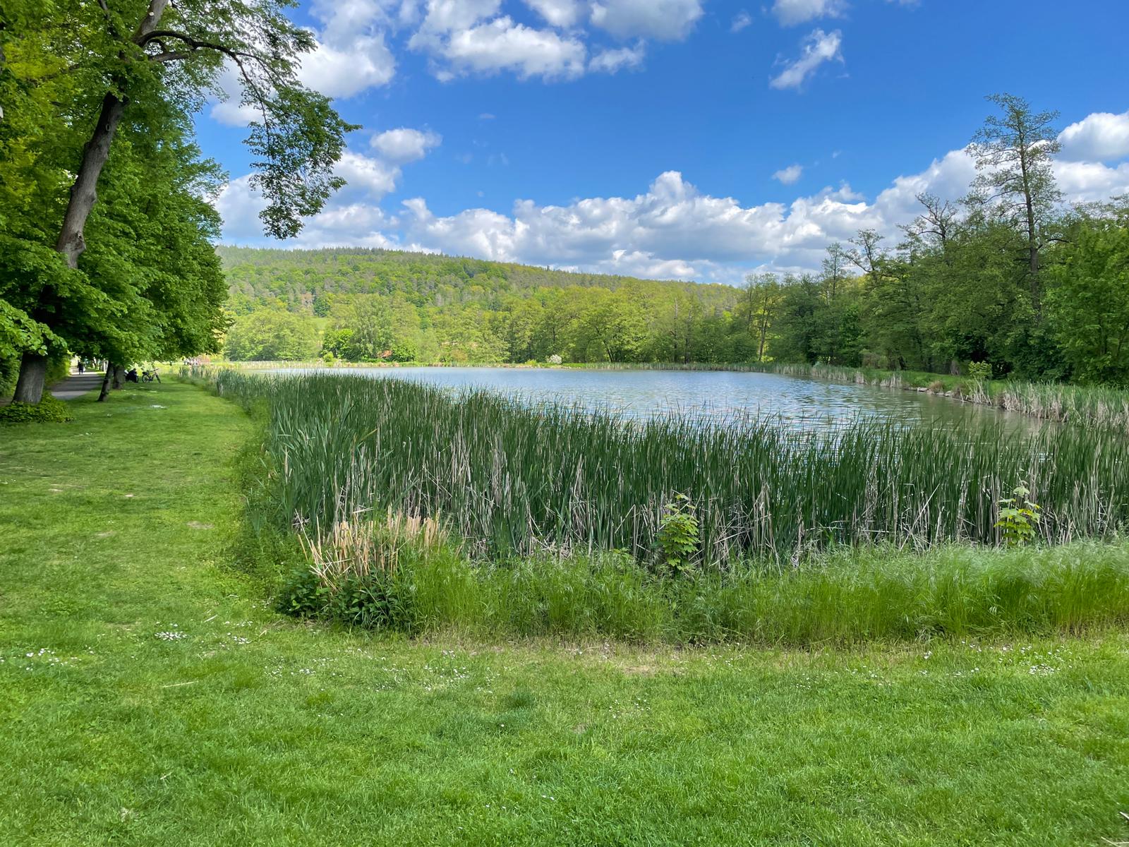 Bild "Touren:tour_see-ing_bild2.jpg"